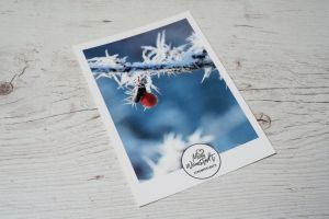 Mein Weinstadt Postkarte Winterbeere