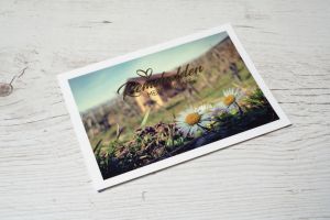 Postkarte Nr.19 Gänseblümchen