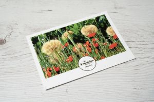 Remshalden meine Heimat Postkarte