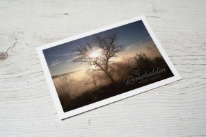 Remshalden meine Heimat Postkarte Baum im Nebel